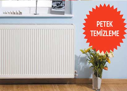 Avcılar Petek Temizleme